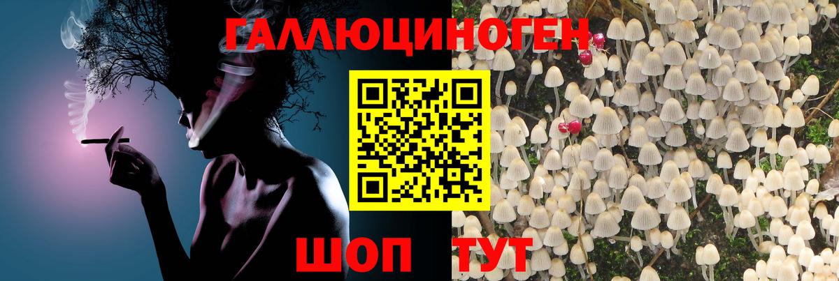 Лабытнанги  Псилоцибиновые грибы прущие грибы  закладки  Вход с VPN  Псилоцибиновые грибы GOLDEN TEACHER 